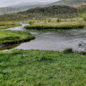 Meet your Posher, Will